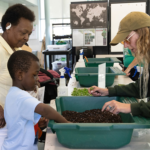 Boy learning about soil